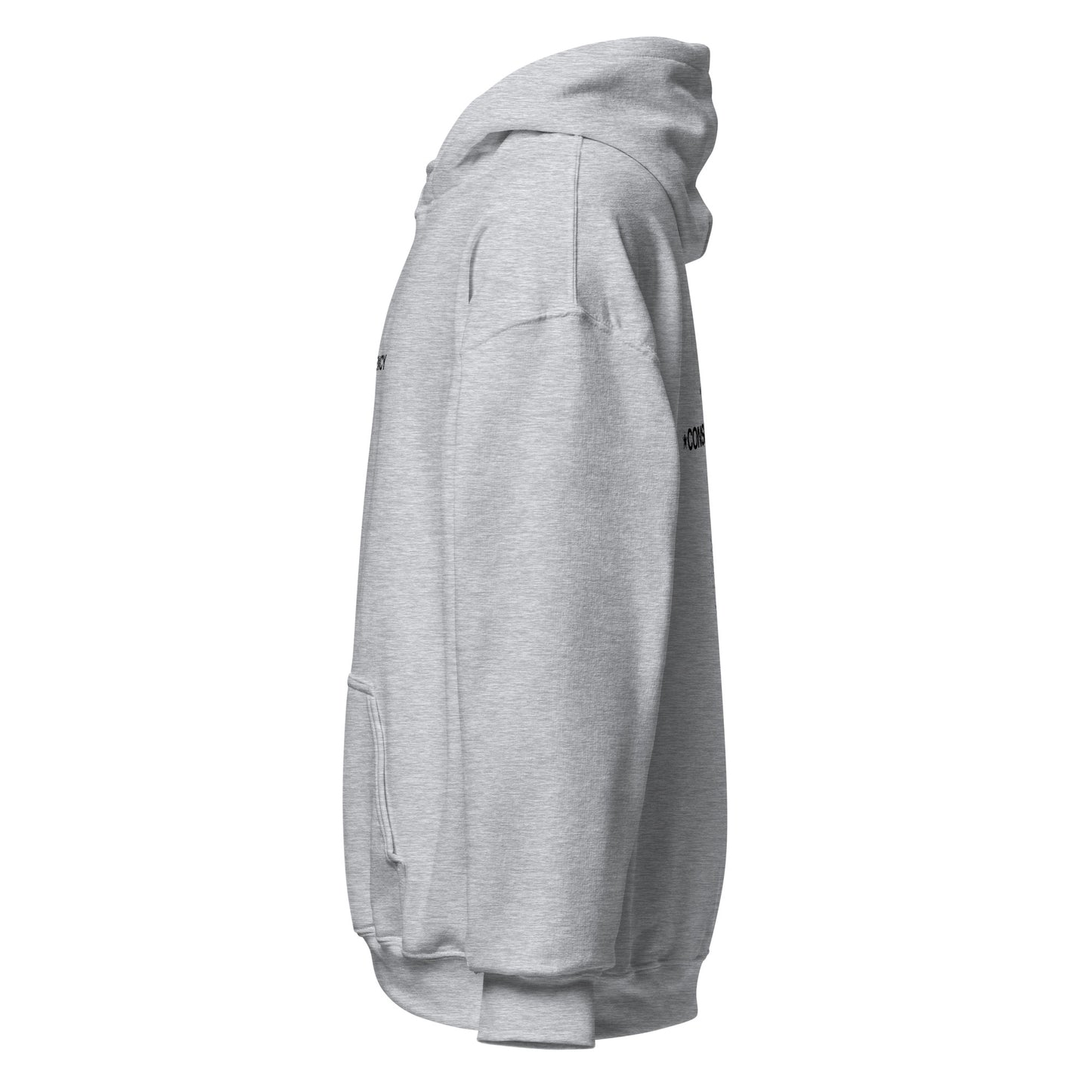 2:10 GREY HOODIE